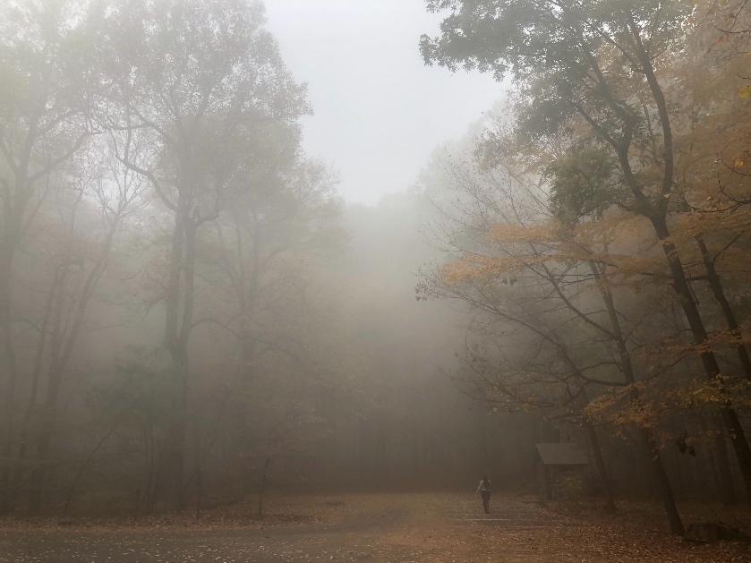 Drey hiking Mount Catoctin during a foggy morning.